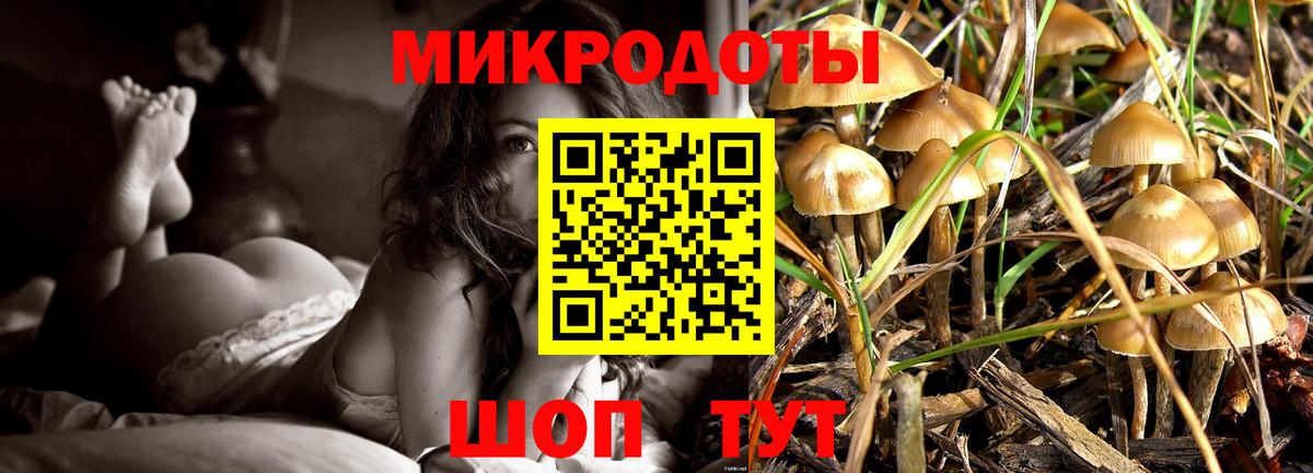 Псилоцибиновые грибы мицелий Пушкино