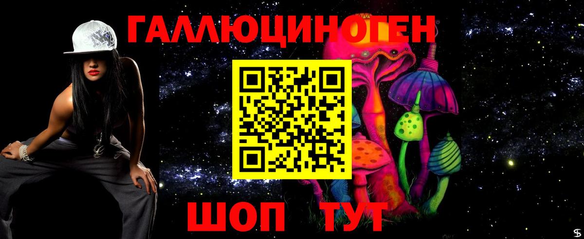 Псилоцибиновые грибы GOLDEN TEACHER  Вход с VPN  наркота  Пушкино  Псилоцибиновые грибы мицелий 